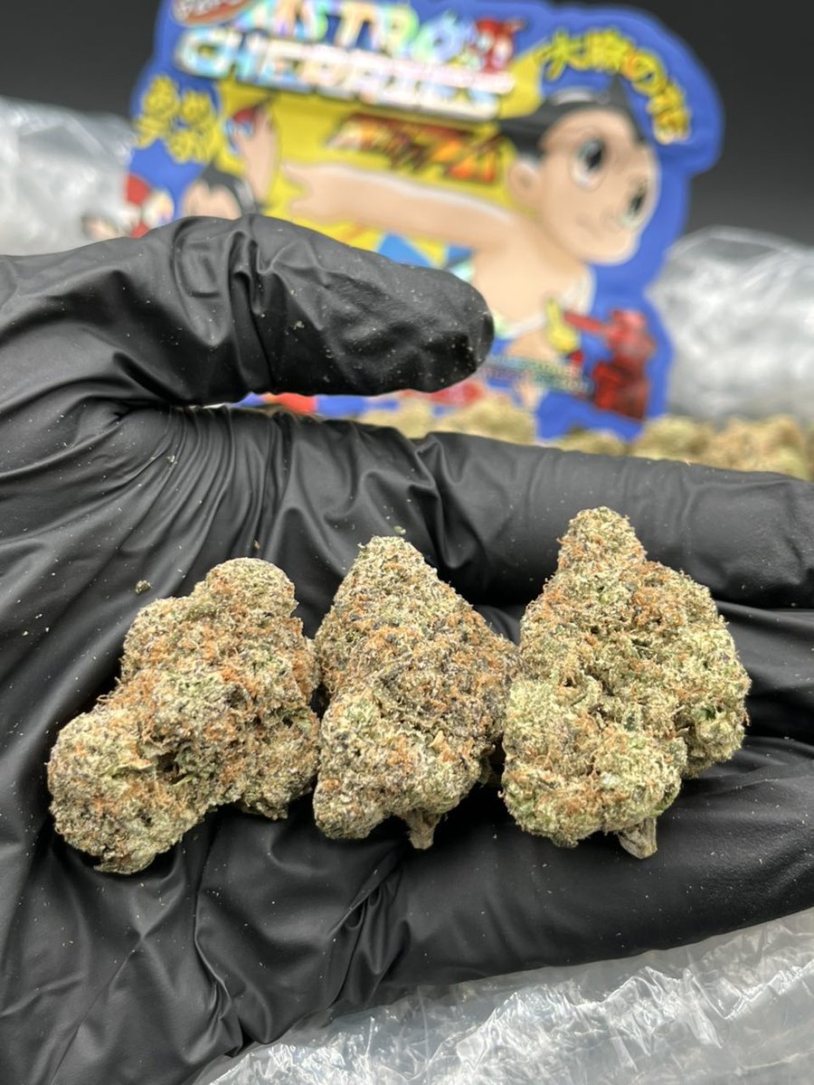 Galwayplug's tweet photo. Weed Delivery Southampton, Weed Delivery Ipswich, Weed Delivery Worthing, Weed Delivery Newport, Weed Delivery Slough, Weed Delivery Lincoln, Weed Delivery Hastings, Weed Delivery Huddersfield, Weed Delivery Blackburn, Weed  Bexley.

Astro Cherries 🍒 

- Licensed 🍒 Indoors https://t.co/Z1schpmlET