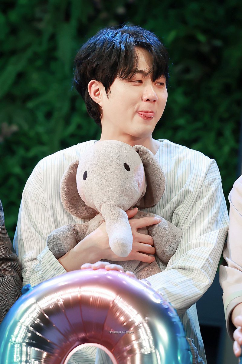 Dream In A Dream tweet media