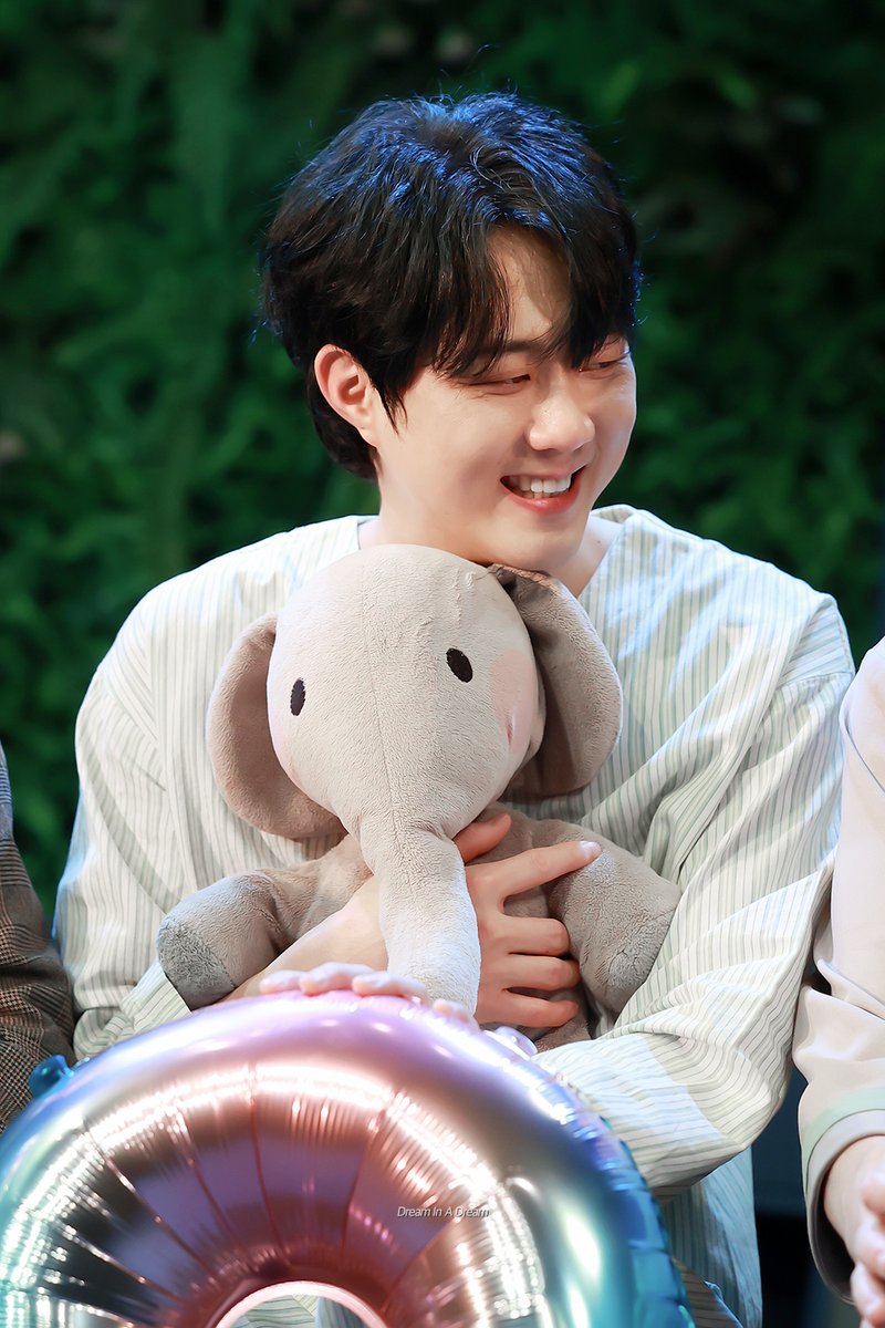 Dream In A Dream tweet media