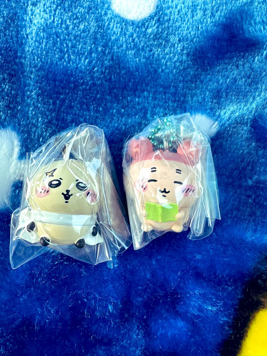 Post by ミィ🐰 on X: 見つけたッ！🙂