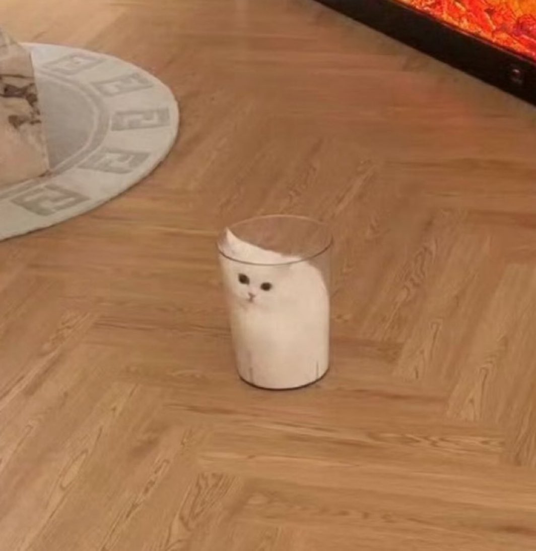 nocontextscats's tweet photo. Cat in liquid form https://t.co/sLG2aZQpPN