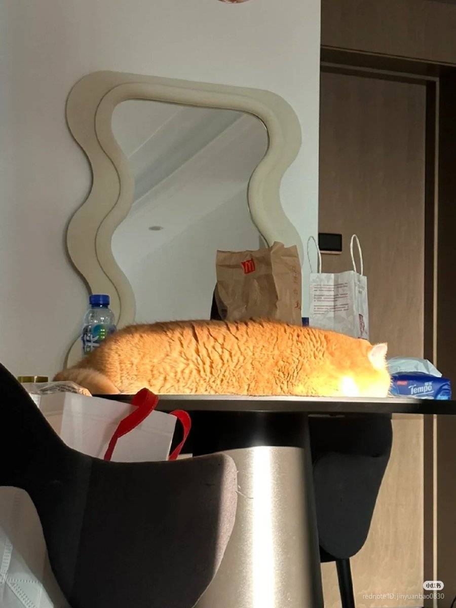 THE ULTIMATE LOAF