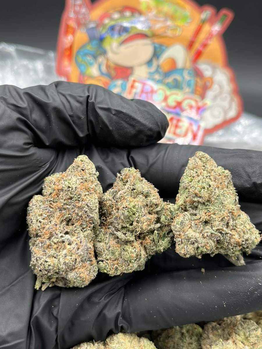 Galwayplug's tweet photo. Weed Delivery Lichfield, Weed Delivery Bexley, Weed Delivery Crawley, Weed Delivery Colchester, Weed Delivery Torquay, Weed Delivery Stevenage, Weed Delivery Walsall, Weed Delivery Solihull, Weed Delivery Harlow, Weed Delivery Whitstable.

Froggy Ramen 
Great tags on multiples 🏷��� https://t.co/a1GlFozbJd