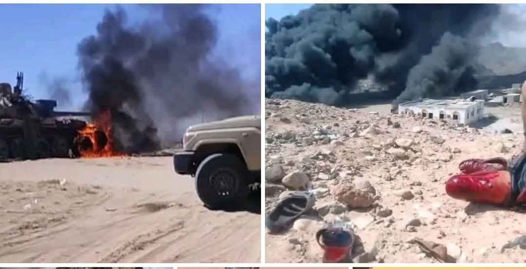 ماجد الداعري tweet media