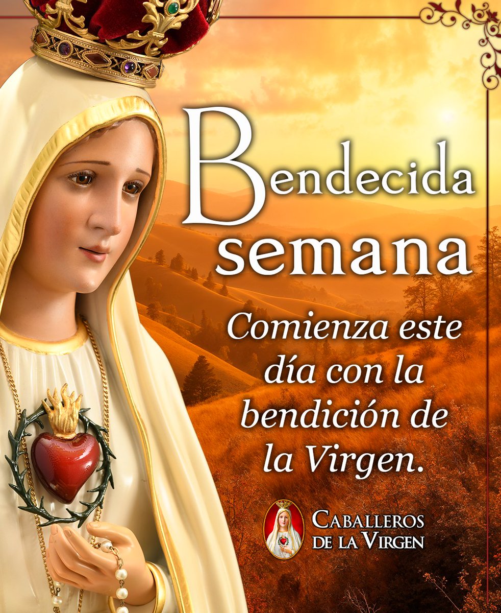 Caballeros de la Virgen tweet media