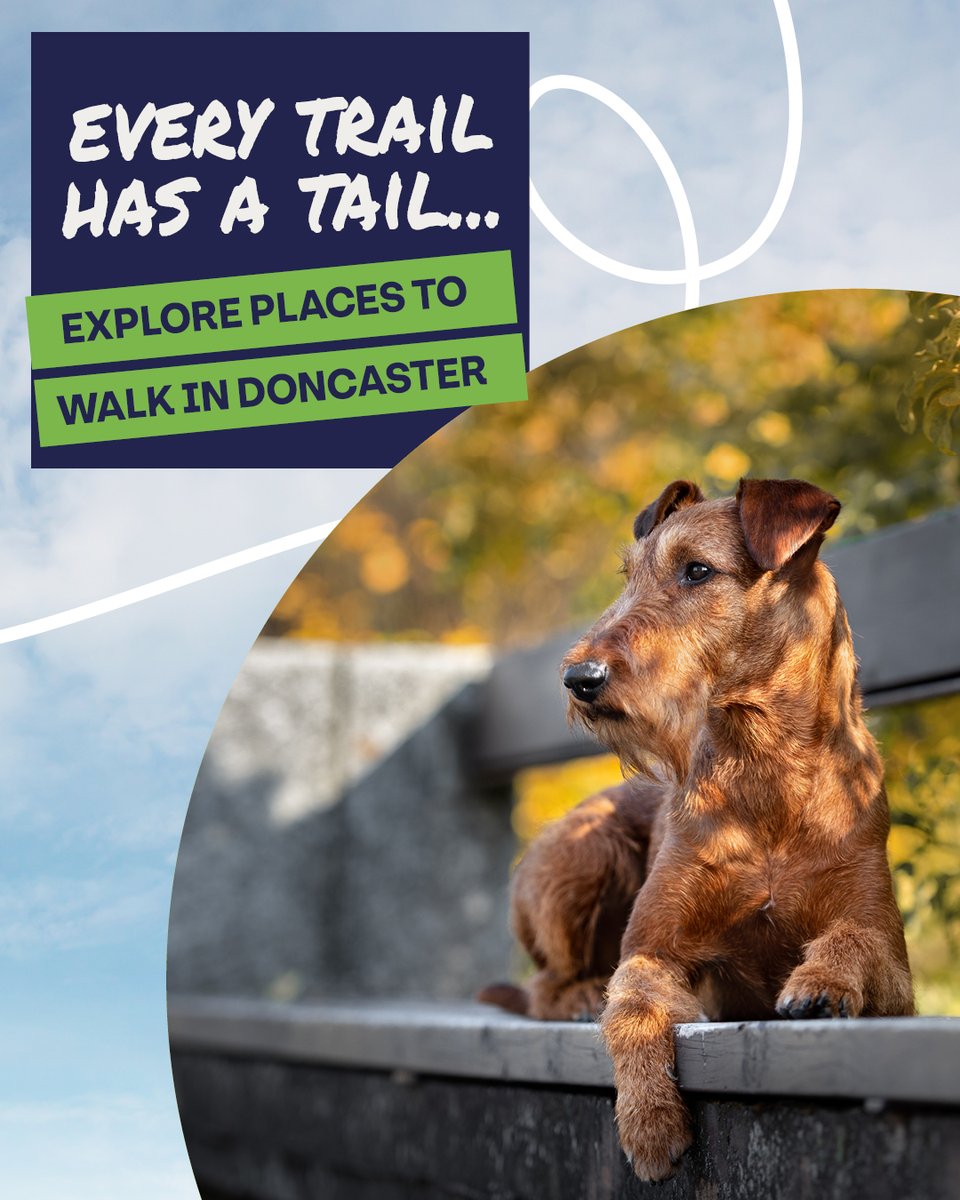 Visit Doncaster tweet media