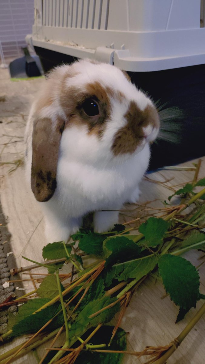 shipz ✧ tweet media