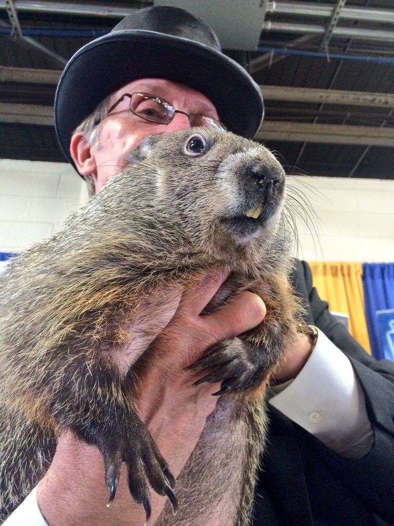 Punxsutawney Phil, the groundhog day 02/02/2026.
