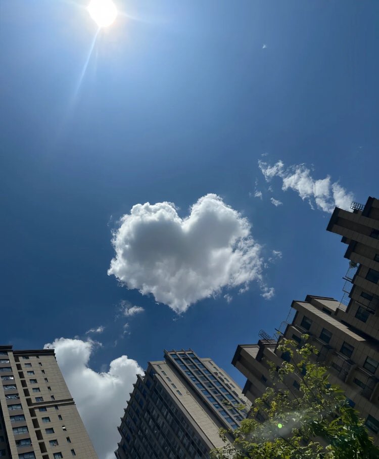 heart_jpg's tweet image. heart in the sky