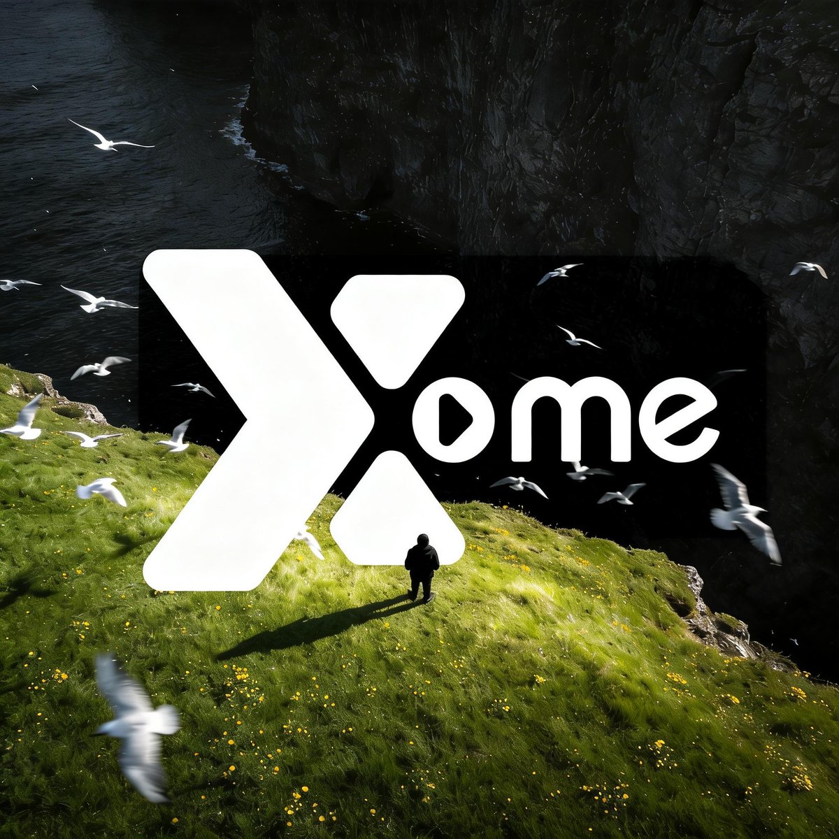 Xme 华语 tweet media