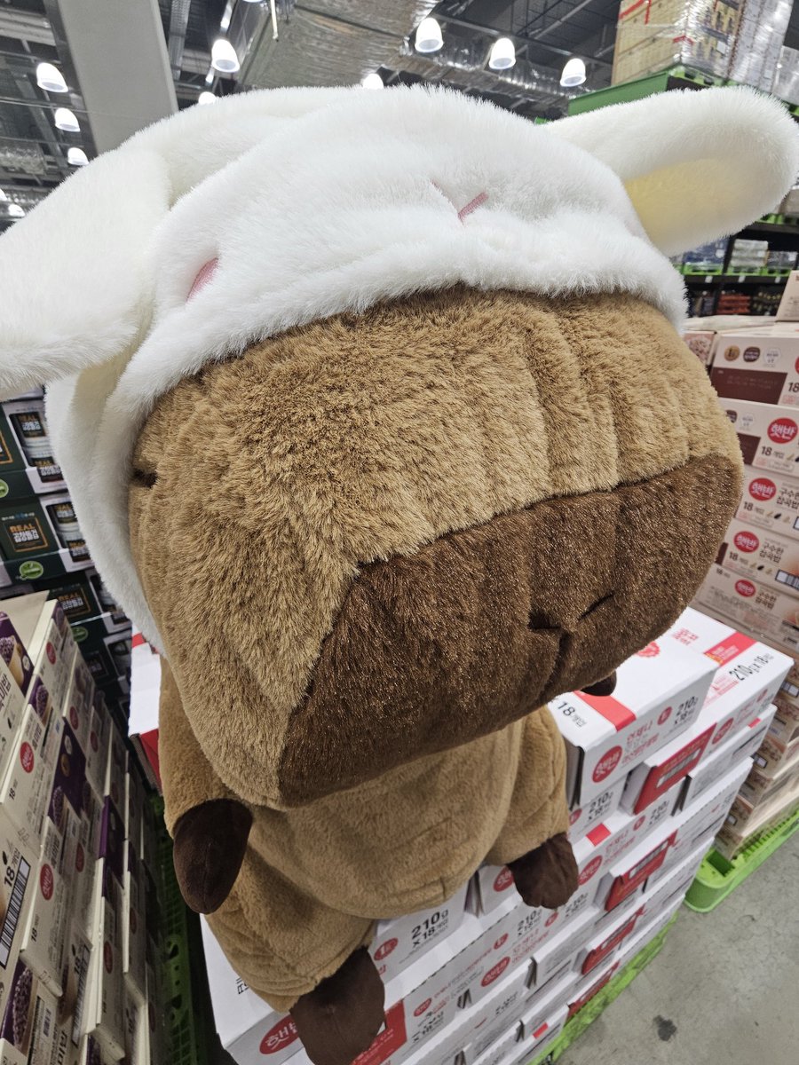 지미니가 있어서 갔더니 카피바라도 있었어요