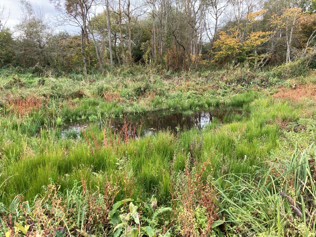 Bucks Country Parks tweet media