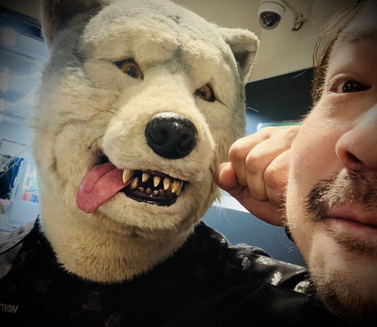 先日のゴリホ3周年‼️🦍

むちゃくちゃかっこいいライブしてはったトーキョータナカ先輩🐺⚡️🐔

いつも勉強なります📝

٩(๑ロᴗカ๑)۶