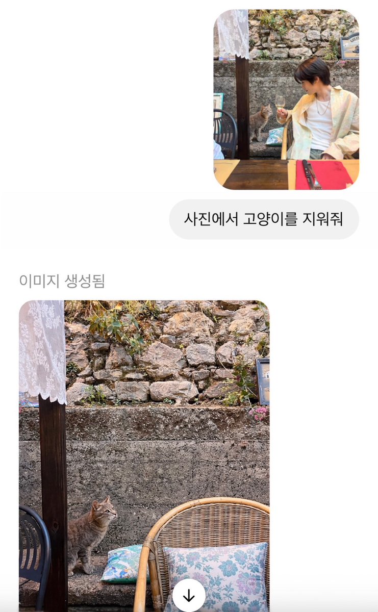 사진에서 고양이를 지워줘