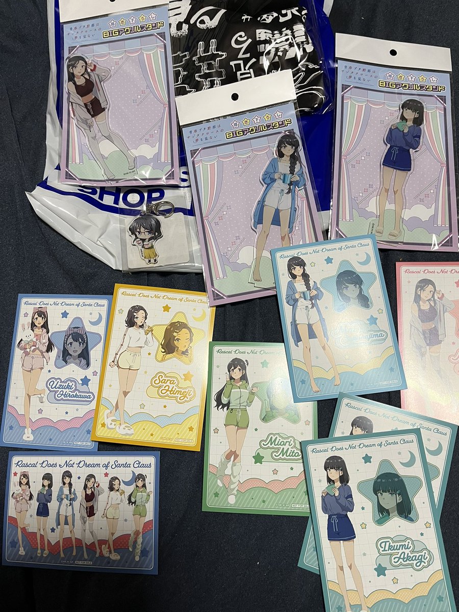 帰宅、そして今日の戦利品&イルミネーションイベントの特典麻衣さん