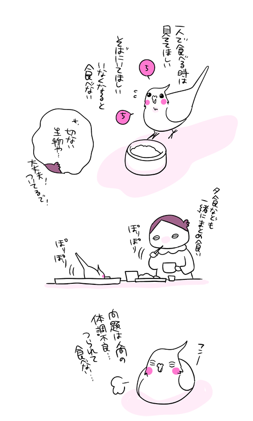イメージだと小鳥って１日中食べてるんだけど
群れの生き物なので群れの仲間が食べてないと食べないのかも…べったり生物なのでｗ
トーストやクッキーのザクザク音でぱあ！ってなるの可愛い(*´◒`*)