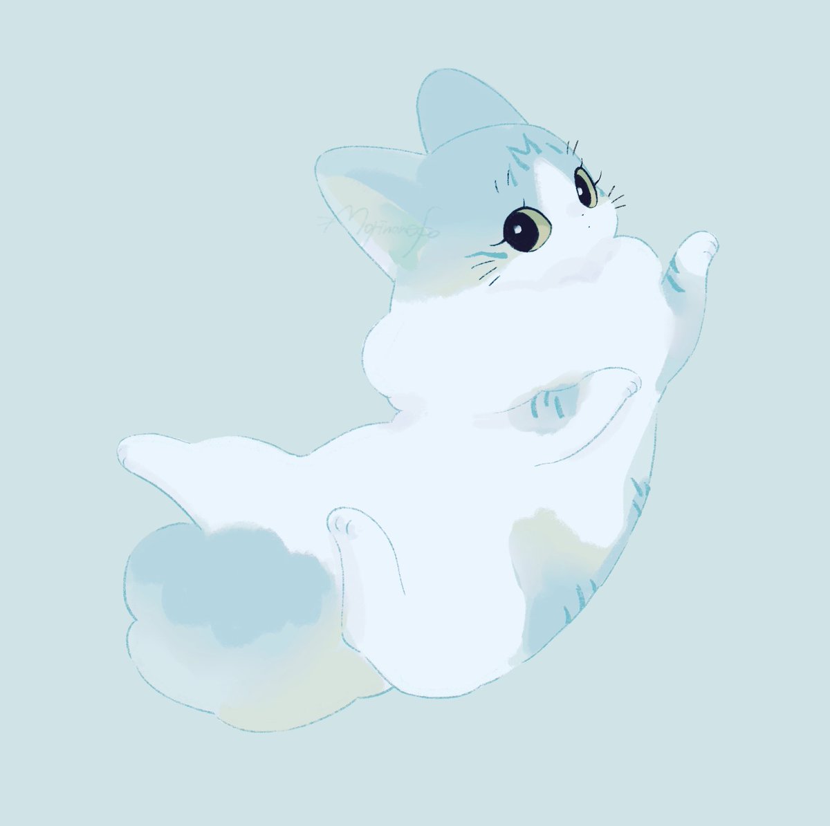 もりの ねこ tweet media