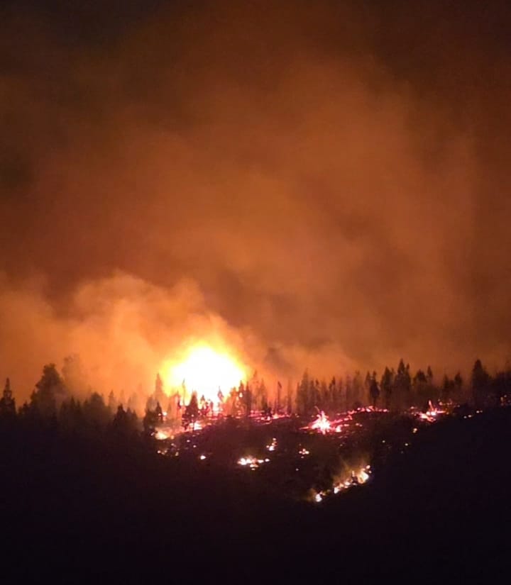 Santiago Rey tweet media