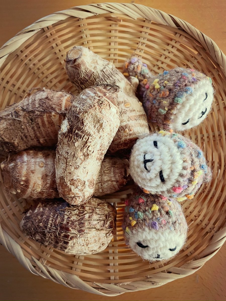 🥔サトイモとおたま

レンタル畑で収穫

#おたまライフ
#おたま #あみぐるみ
#otama #amigurumi