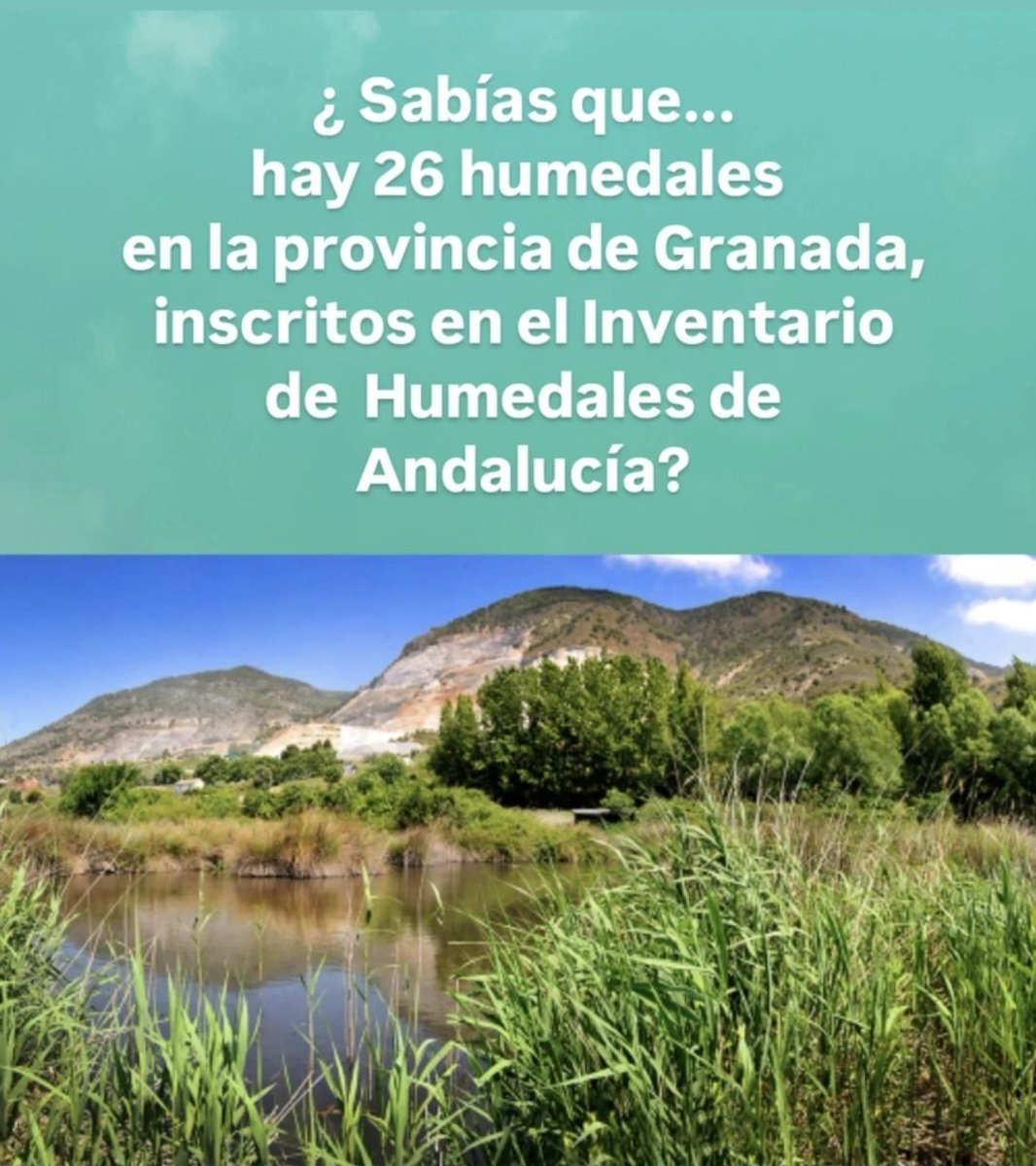 💧🌿 Hoy, #DíaMundialDeLosHumedales, celebramos los humedales de Granada: almacenan agua, mejoran su calidad, albergan biodiversidad y nos protegen del cambio climático. Cuidarlos es cuidar la vida.
#Humedales #Granada #AguaEsVida
#DíaMundialDeLosHumedales