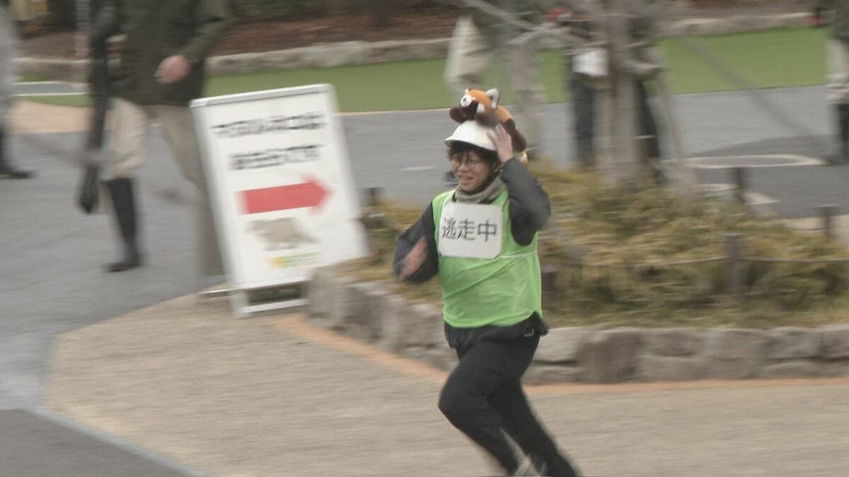 【必死】動物園で脱走を想定した捕獲訓練、レッサーパンダ役の職員が園内を逃げ回る
news.livedoor.com/article/detail…

名古屋の東山動植物園は2日、動物の脱走を想定した訓練を実施した。頭にぬいぐるみをつけたレッサーパンダ役の職員が園内を逃げ回り、約30分で捕獲され訓練は終了した。