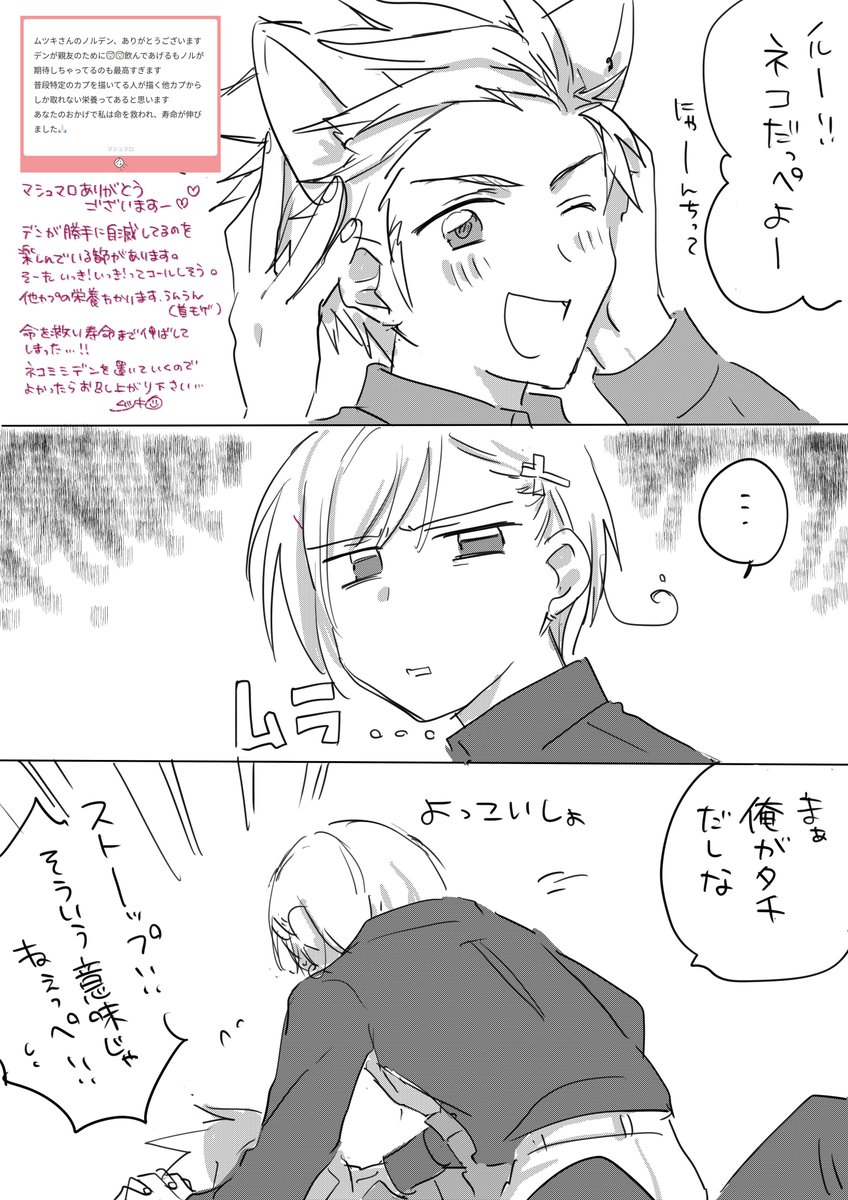 マシュマロありがとうございます！
猫耳描くのにちょうどいい日のノルデンです。