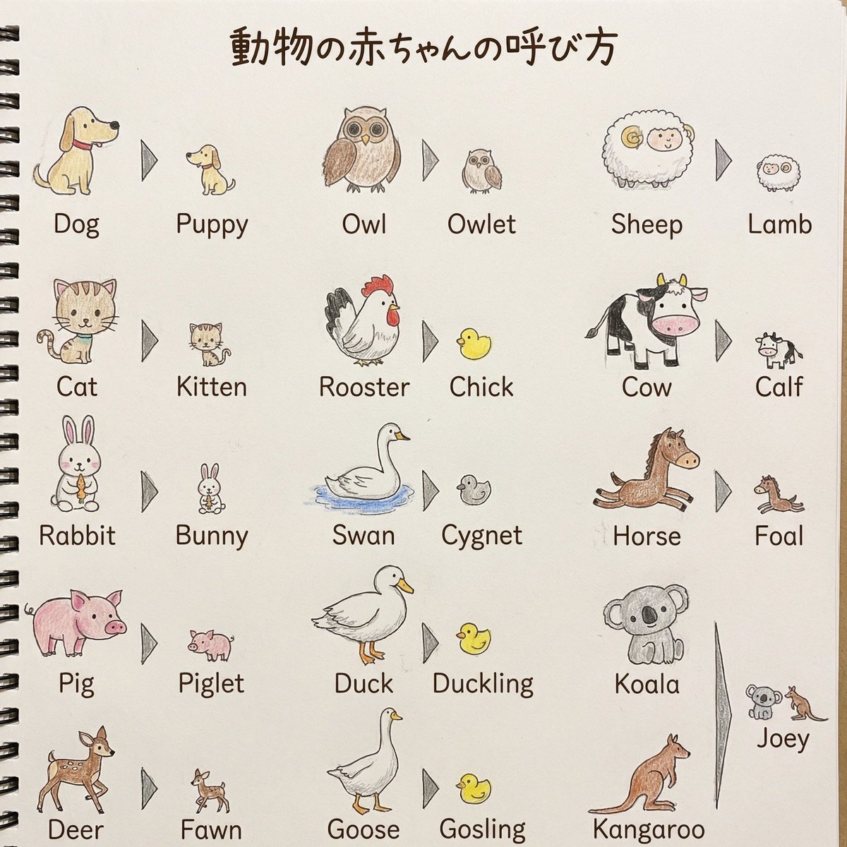 この英語のノートかわいくて最高すぎるなw