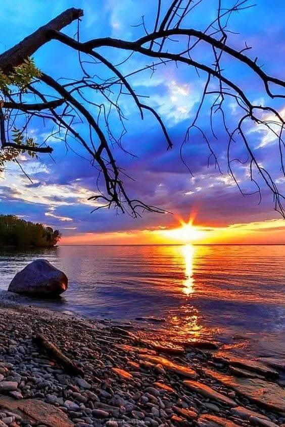 Siempre sale el sol 🌞