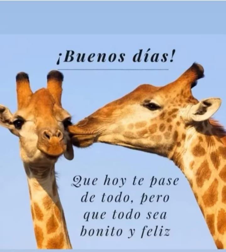 katherinrod's tweet photo. @estendenciavzl https://t.co/KTK1ZRwUci