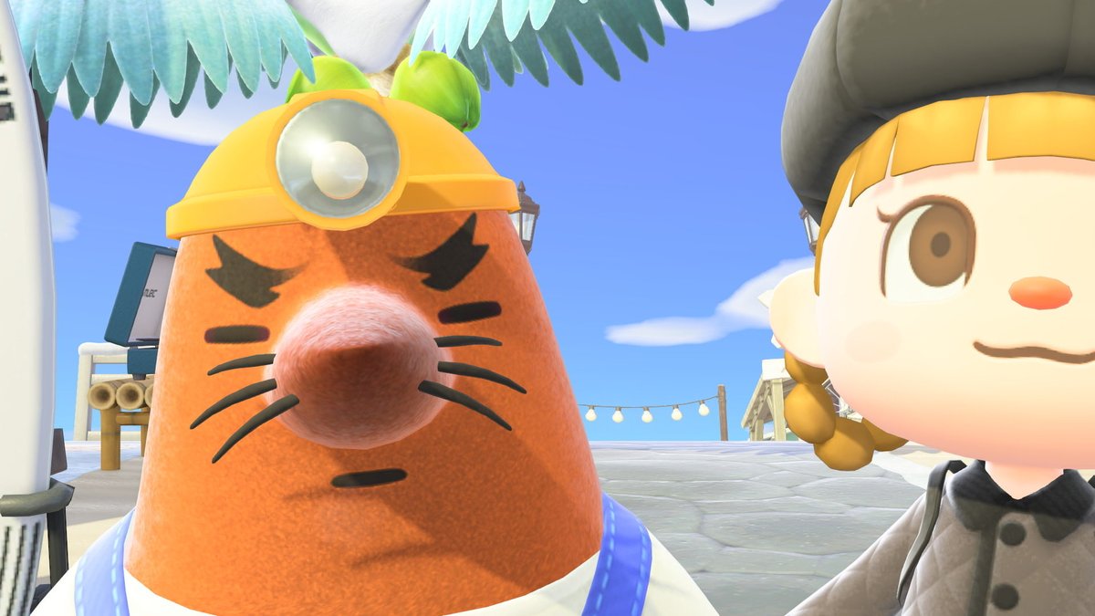 せなくま🍟 (@senakumadesu) / Posts / X