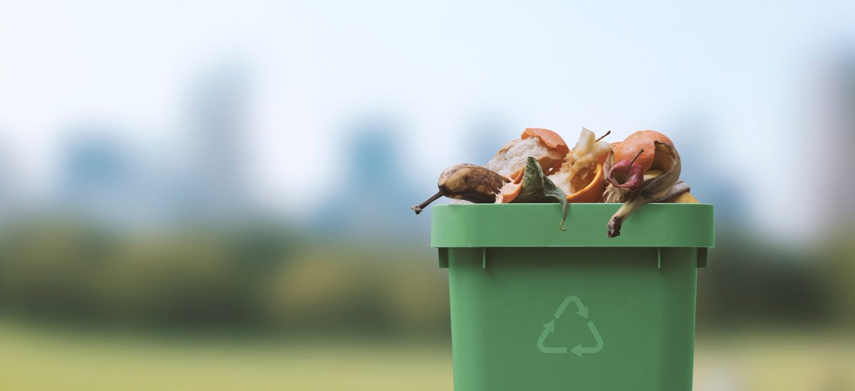 AZoCleantech's tweet photo. 🌱🍅 Can food waste compost truly replace traditional potting mix? Discover why blends with less than 50% compost might be the future of greener gardening. Read more: https://t.co/GNfoWsSiqx https://t.co/LMX9izMDDJ