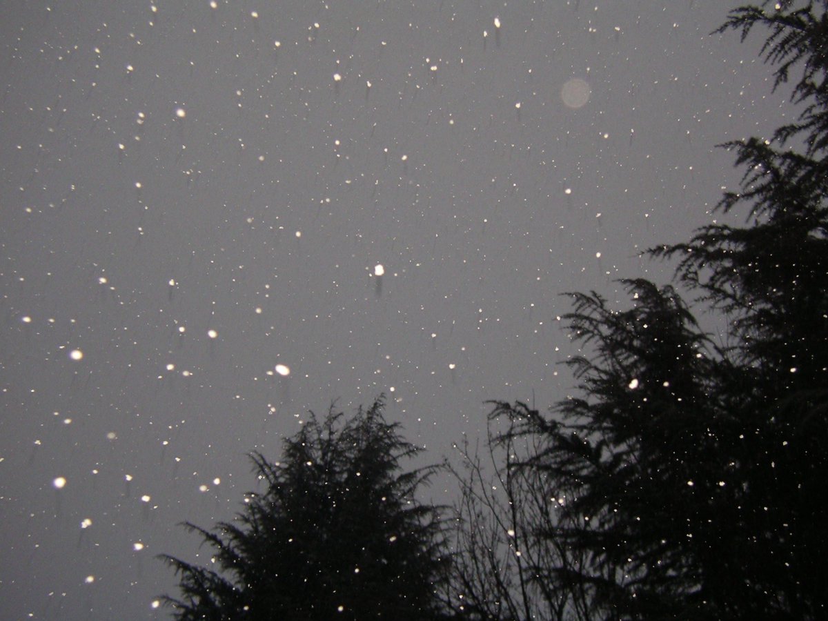 눈오면 디카로 찍어줘야된다길래 ☃️