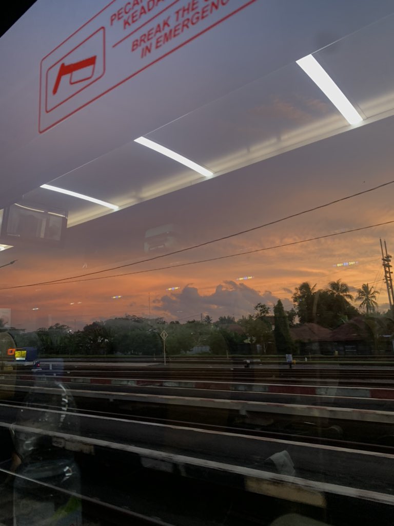 szienaraa tweet media