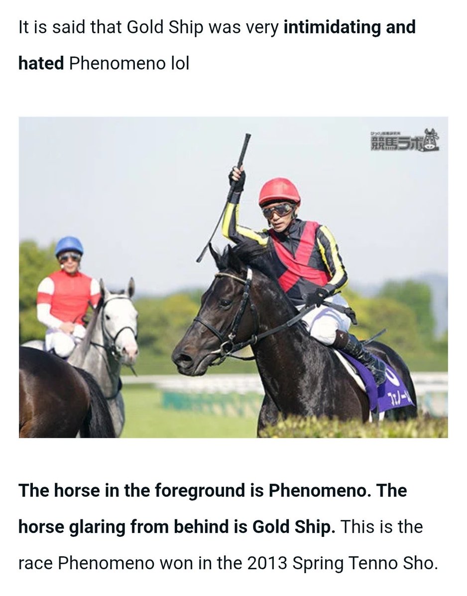 mamechinue's tweet image. i think gold ship was genuinely trying to explode fenomeno with his mind here