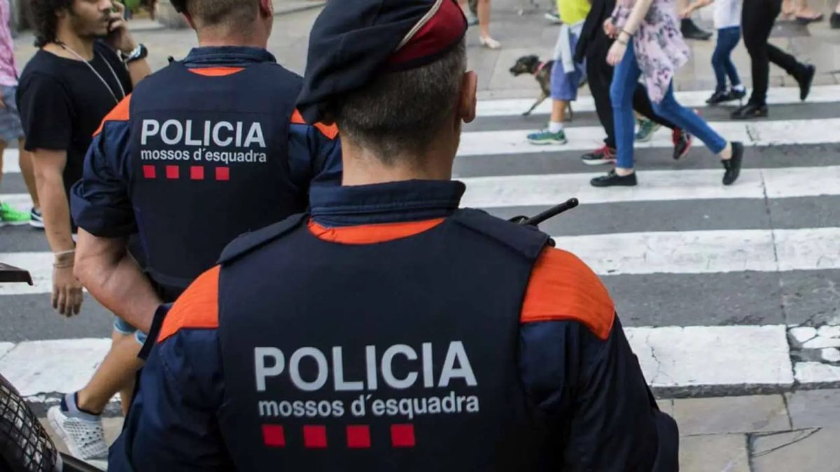 Una banda de magrebíes roba y ataca con machetes a dos menores en Canyelles (Barcelona).

Los menores, ambos de 17 años, iban en patinete cuando fueron asaltados por la banda de magrebíes a golpe de machete para sustraérselos. 

España avanza a pasos agigantados hacia convertirse