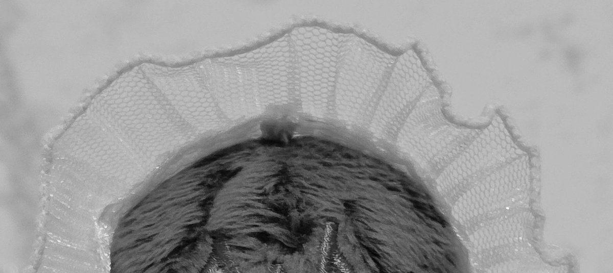 랑하우스 솜옷장 tweet media