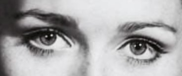 Bufo Calvin tweet media