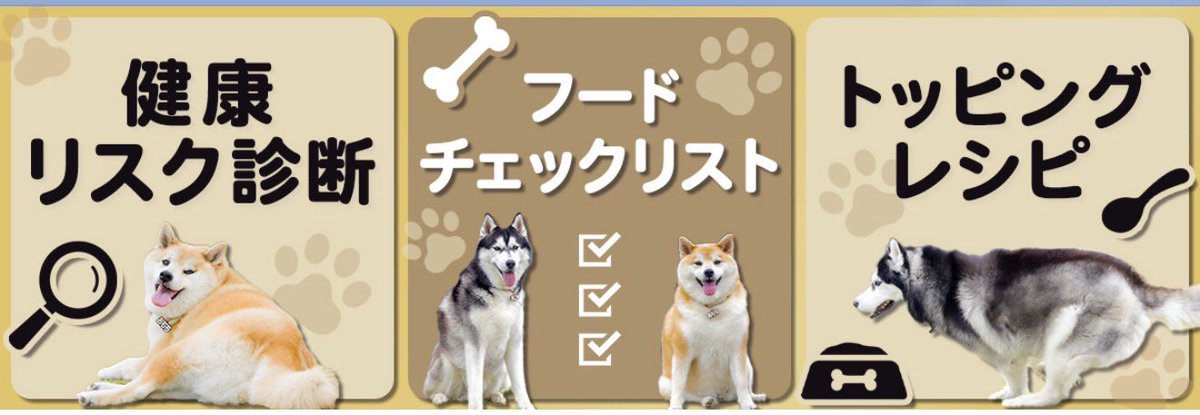 もちごめ兄弟 (@mochigome810) / Posts / X