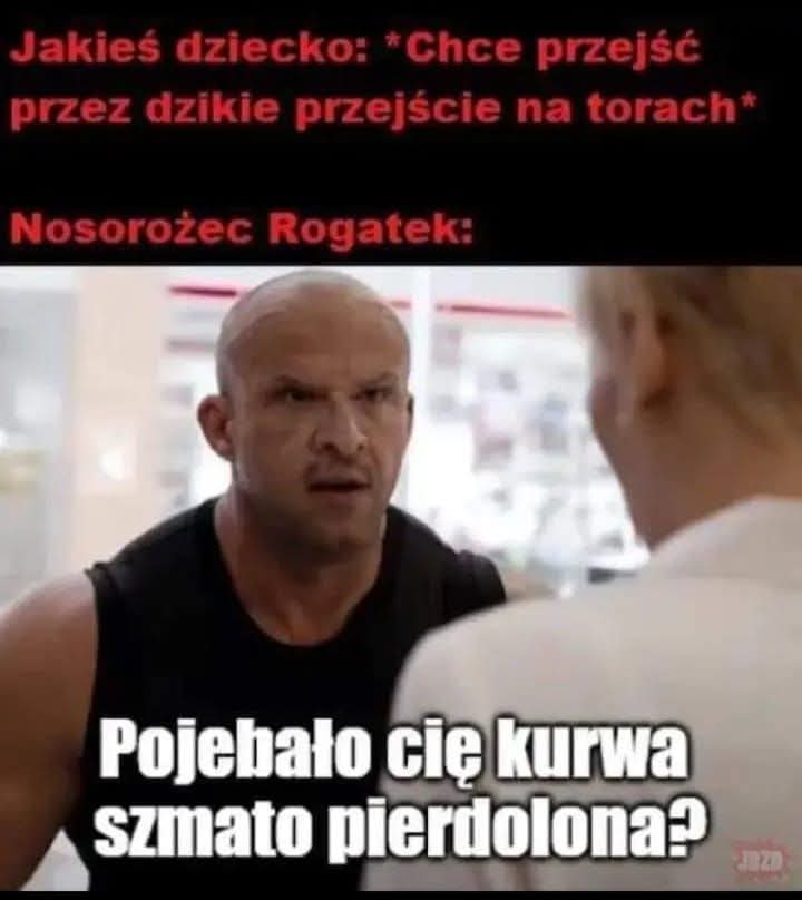 gównoposting (@gownomeming) on Twitter photo 
