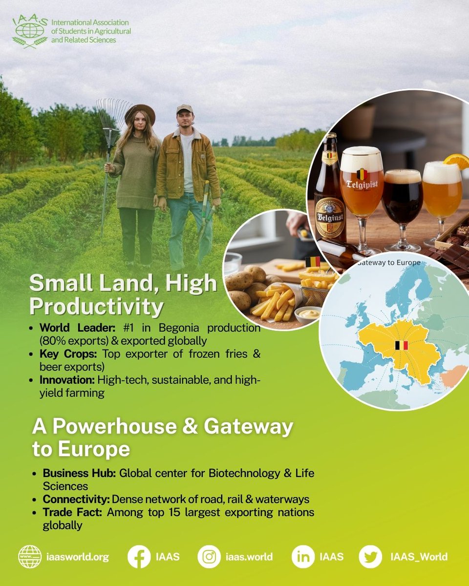 IAAS World tweet media