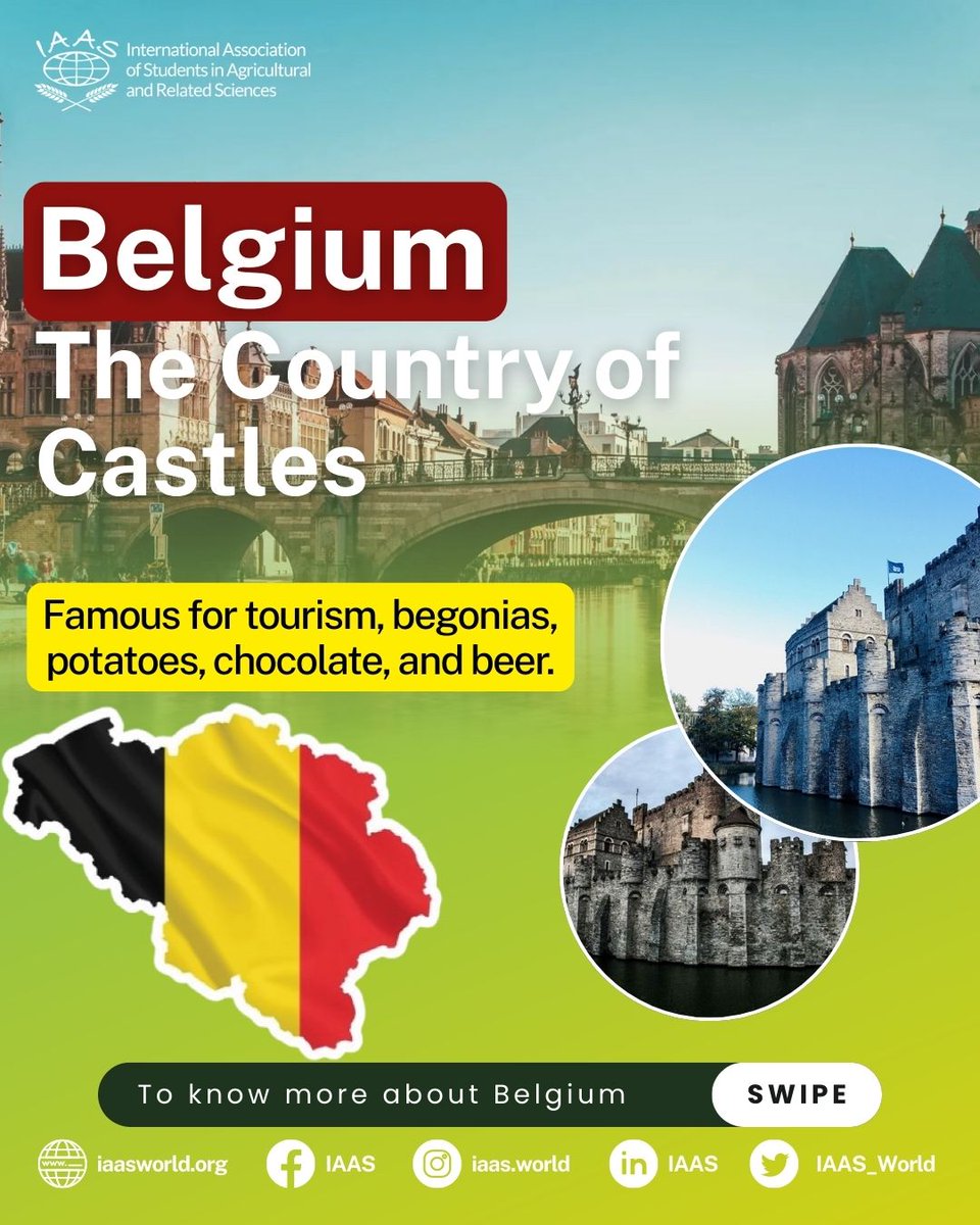 IAAS World tweet media