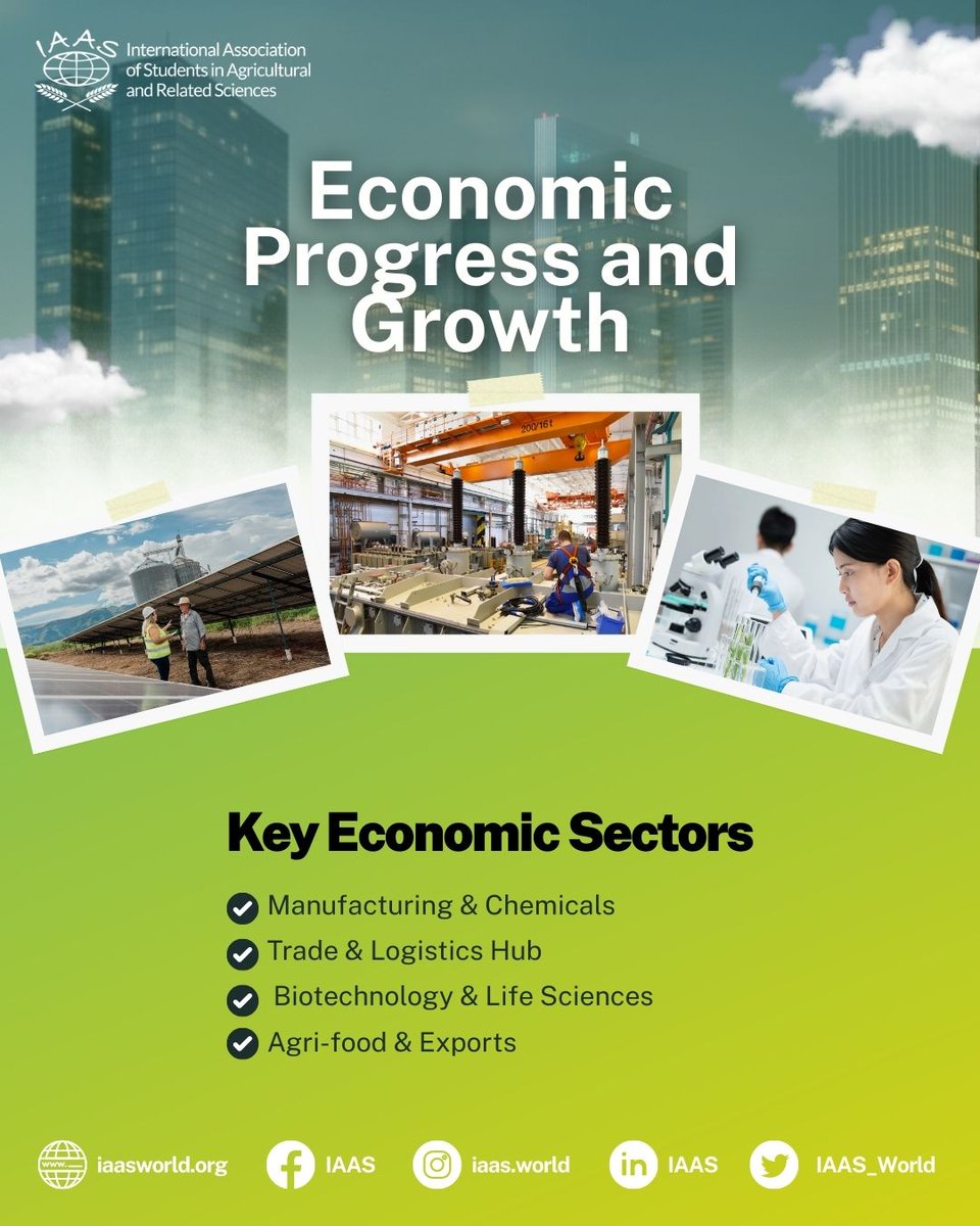 IAAS World tweet media