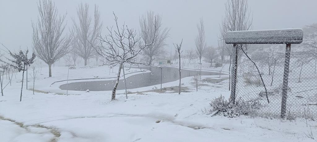 Beas de Granada. 2/2/26