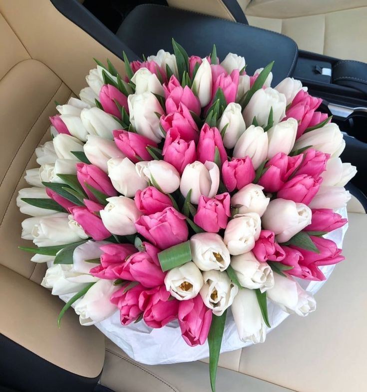 Only Tulips (@tutututututulip) on Twitter photo 