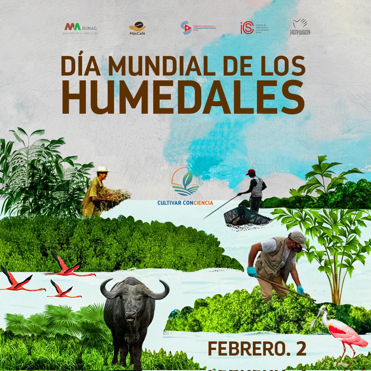 Los humedales constituyen ecosistemas esenciales para la sostenibilidad ambiental. Regulan el ciclo del agua, reducen riesgos de inundaciones y albergan una alta diversidad biológica. 🌱🏞️

#Cuba #SoberaníaAlimentaria #CultivarConciencia