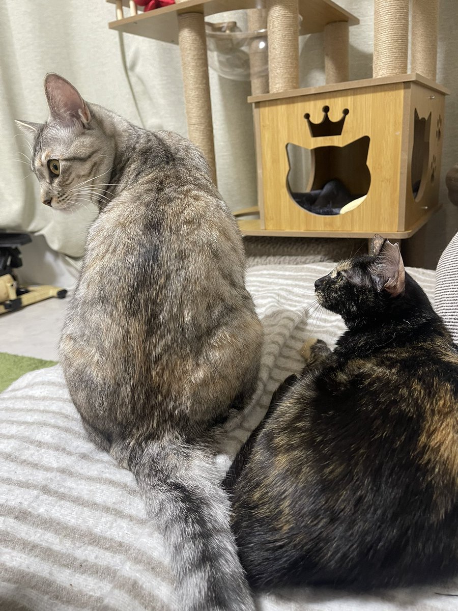 雷十太先生 (@asjSvnCZl18wKXM) / Posts / X