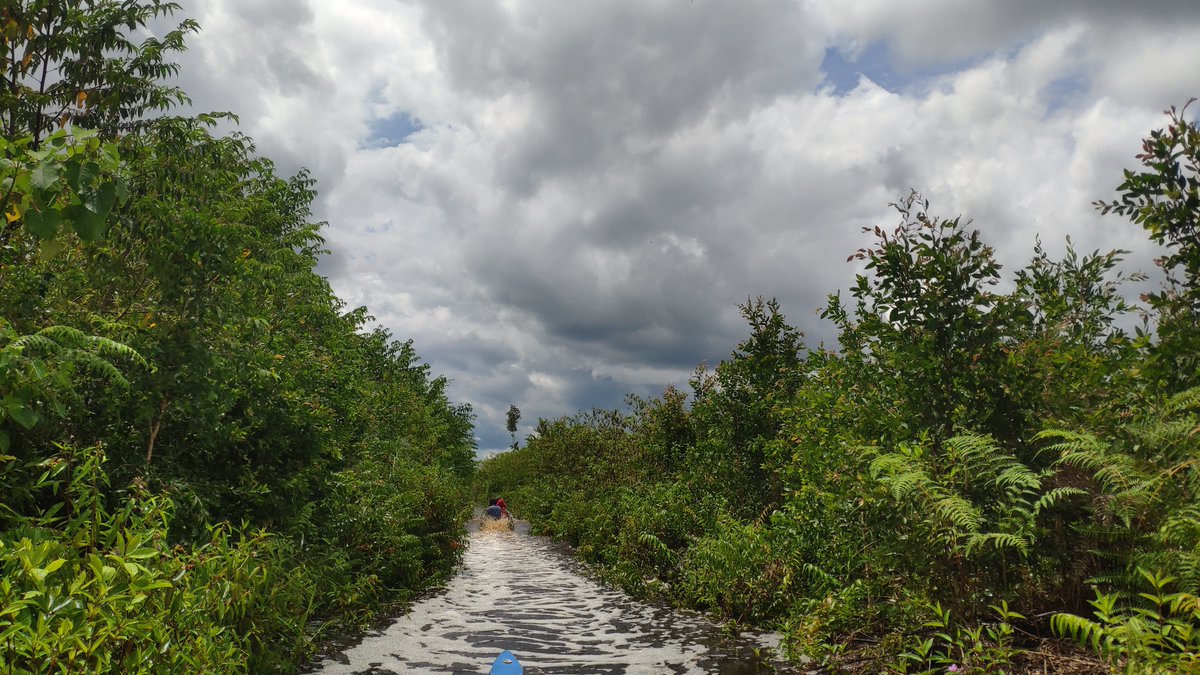 ZSL SPOTT tweet media