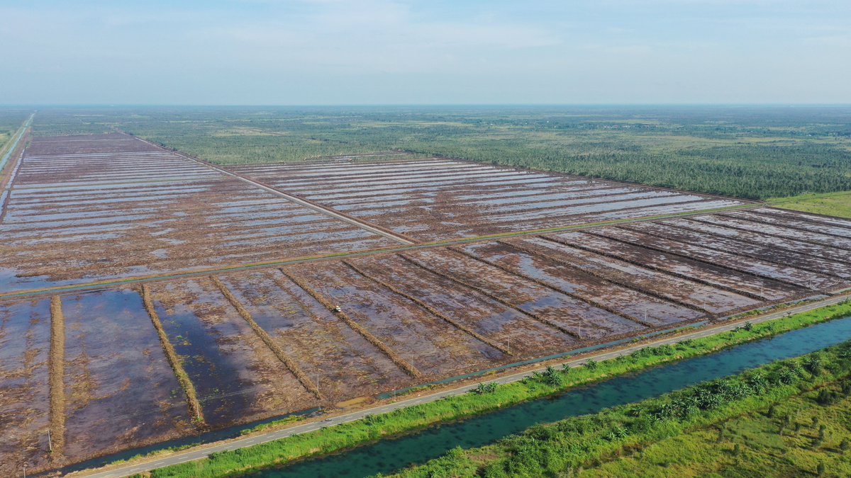 ZSL SPOTT tweet media