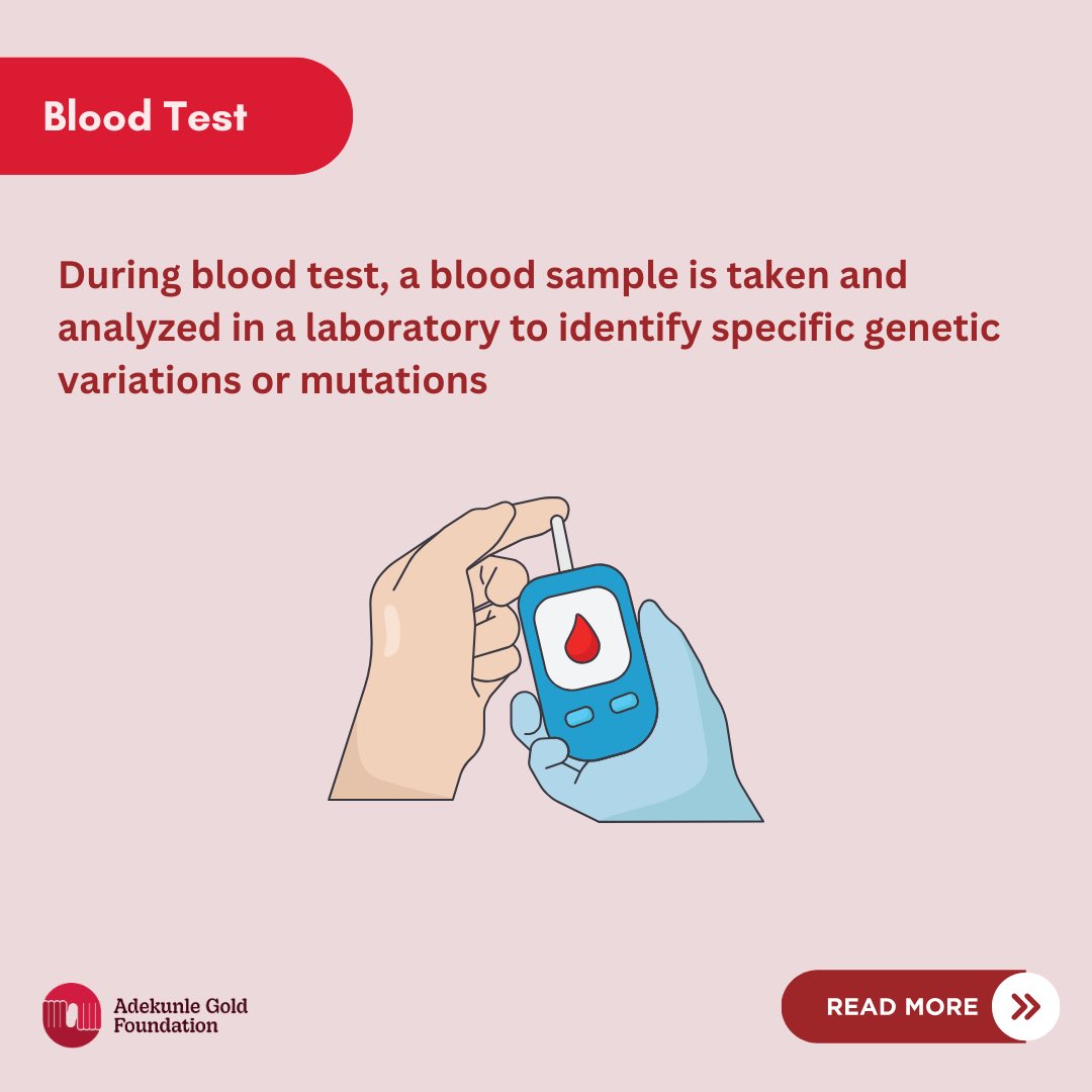 AGoldFoundation's tweet image. Knowledge saves lives because awareness is the first step to prevention ❤️

#AdekunleGoldFoundation 
#GenotypeTest
#GenotypeMatters #SickleCellAwareness