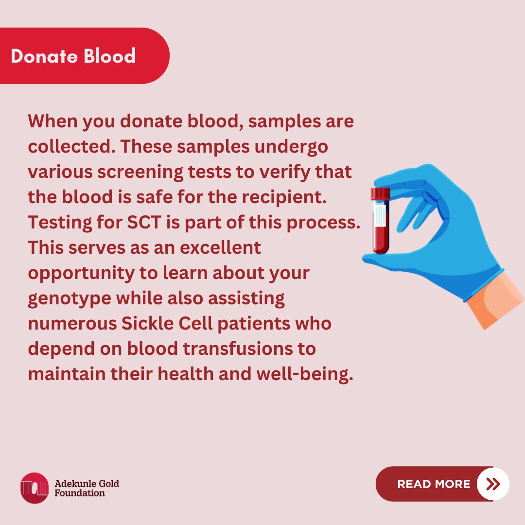 AGoldFoundation's tweet image. Knowledge saves lives because awareness is the first step to prevention ❤️

#AdekunleGoldFoundation 
#GenotypeTest
#GenotypeMatters #SickleCellAwareness